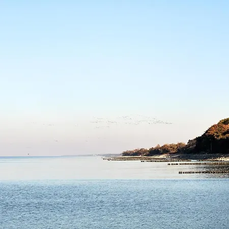 Baltic Viking Blizej Morza コウォブジェク