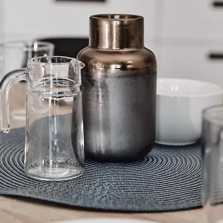 Baltic Viking Blizej Morza Daire